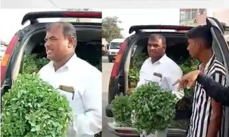 farmer sold vegetables from Indiver car