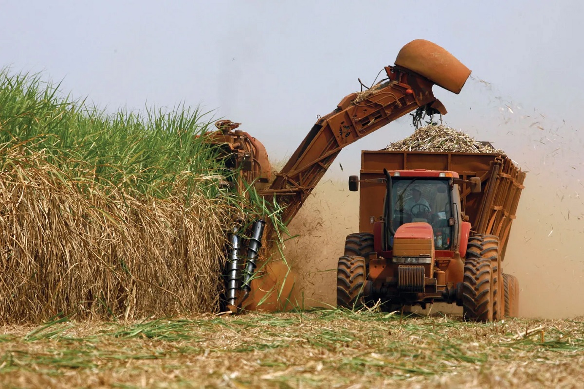 sugercane crop harvesting machine subsidy