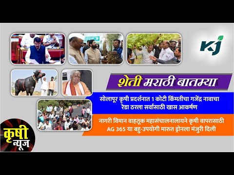 Sharad Pawar : शरद पवार यांची नवीन वर्षाची सुरुवात शेतकऱ्यांच्या बांधावरून | New Year | New Year2023