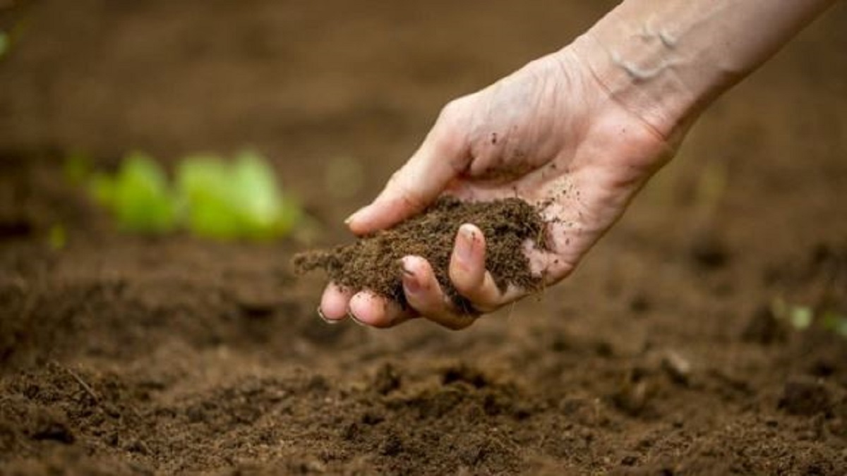 soil fertility