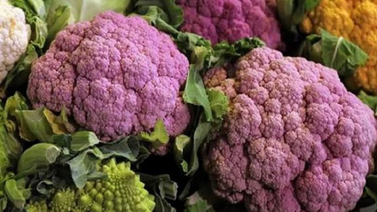 colorful cauliflower