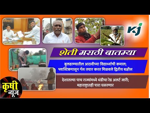 देशातल्या पाच राज्यांमध्ये थंडीचा Red Alert जारी; महाराष्ट्रातही पारा घसरणार, हवामान विभागाचा अंदाज