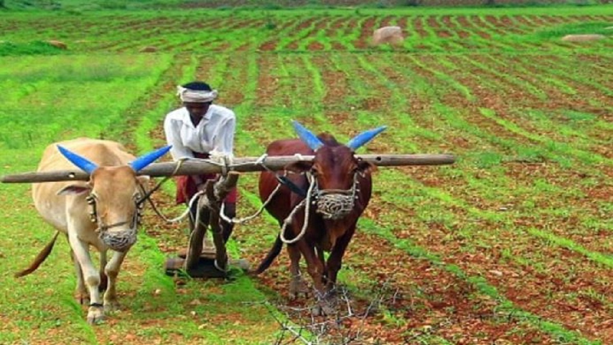 Farmers prepare a plan to increase income