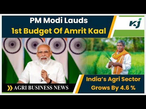 India’s Agri Sector Grows By 4.6 % | PM Modi Lauds 1st Budget Of Amrit Kaal | Agri-Business News