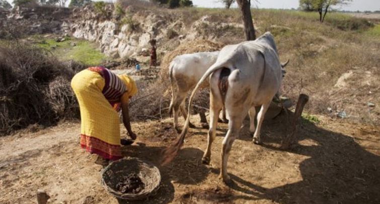 Tribal women self-sufficient, prepared color from cow dung