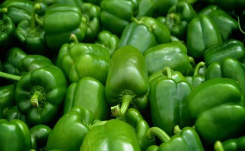 Capsicum changed the fortunes of farmers