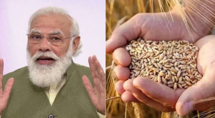 Modi government will sell 20 lakh tonnes of wheat