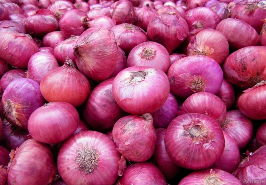 Apply for Onion Subsidy till 'this' date..