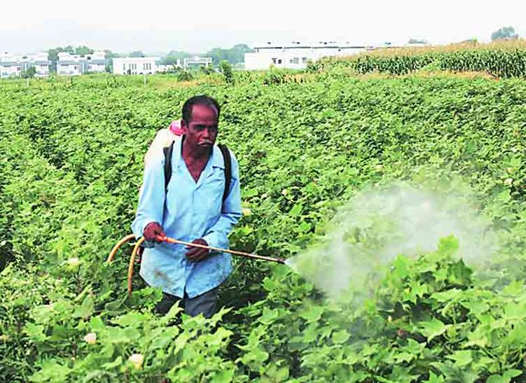 Biological pest control by farmers