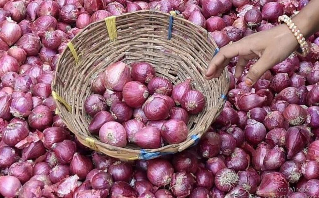 onion farmers