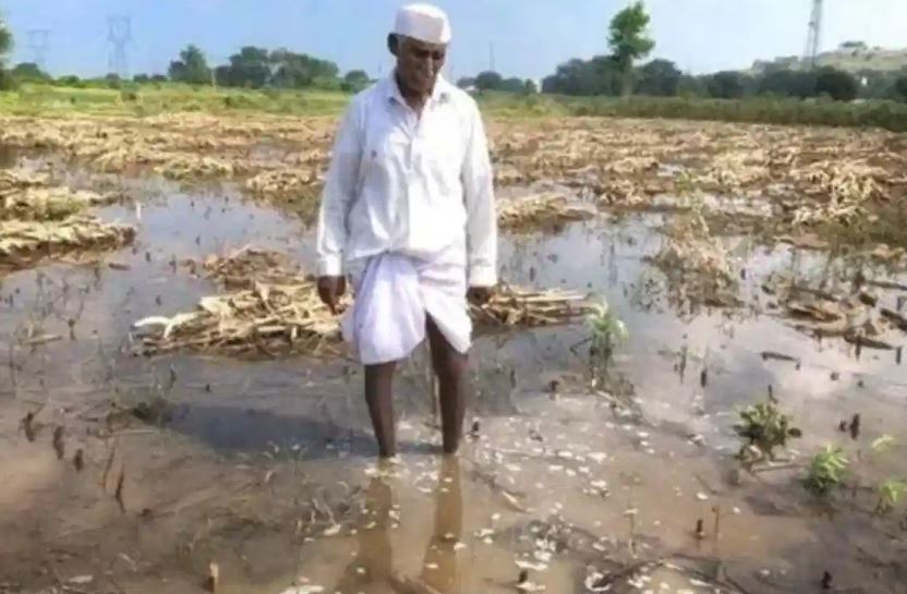 e-panchnama of farmers losses
