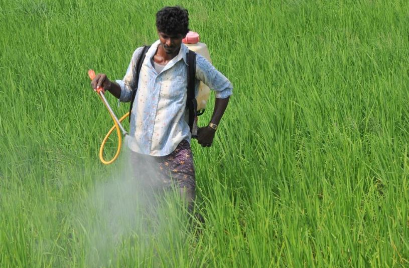 Farmers study herbicides