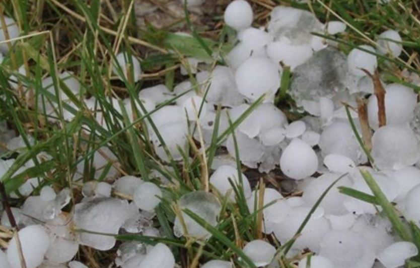 Meteorological Department warned hailstorm
