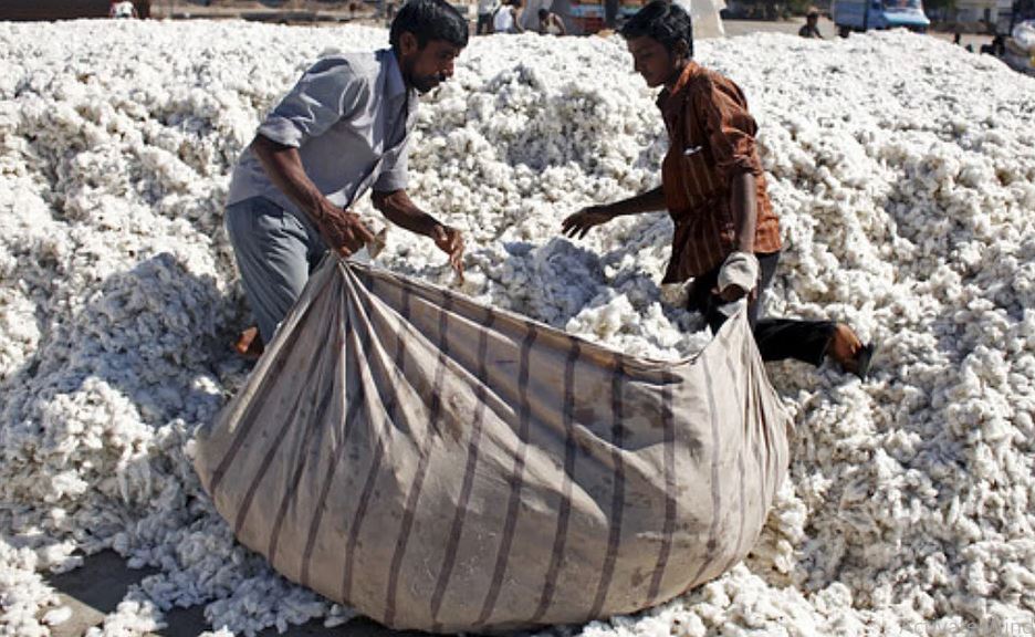 Good days have come to cotton farmers