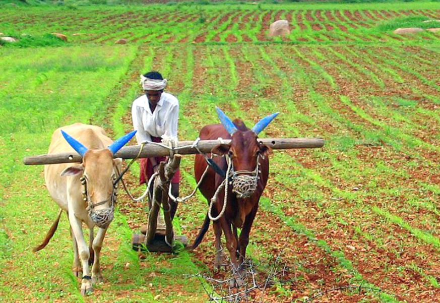 BJP's achhe din for farmers