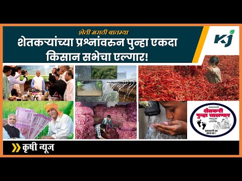 शेतकऱ्यांनो! कांदा अनुदानच्या अर्जासाठी मुदतवाढ | PM Kisan samman Nidhi Yojana