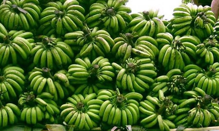 Guarantee price of banana