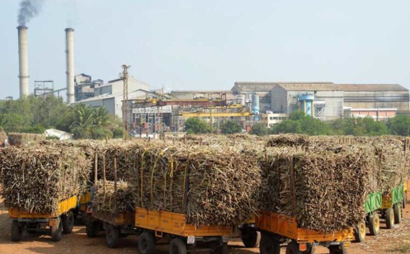 850 crore still owed by the sugarcane farmers in the state (image google)