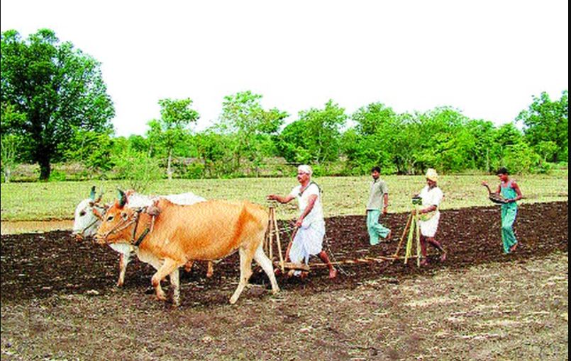farmers for sowing in the state (image google)