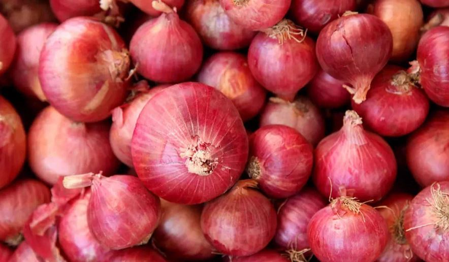 Big increase in onion export (image google)