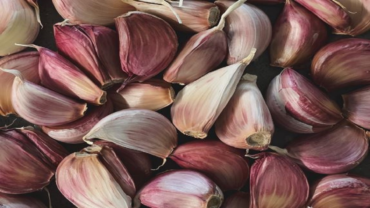 Pink garlic is a boon (image google)
