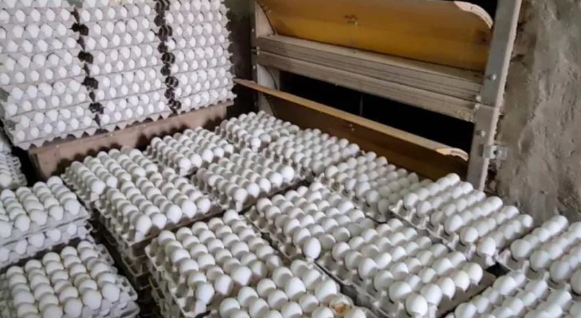 SriLanka will import eggs (image google)