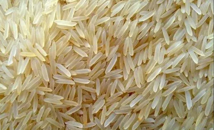 sugar free rice will be developed (image google)