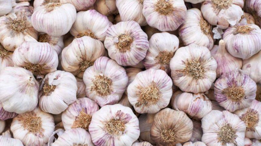Garlic moves towards two hundred rupees per kg (image google)