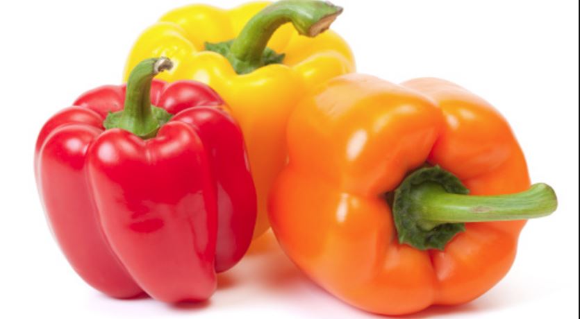 Earn lakhs from red-yellow capsicum (image google)