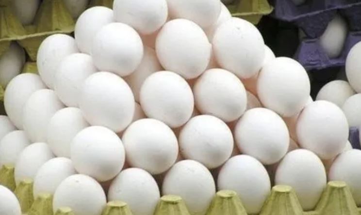 100 rupees for one egg (image google)