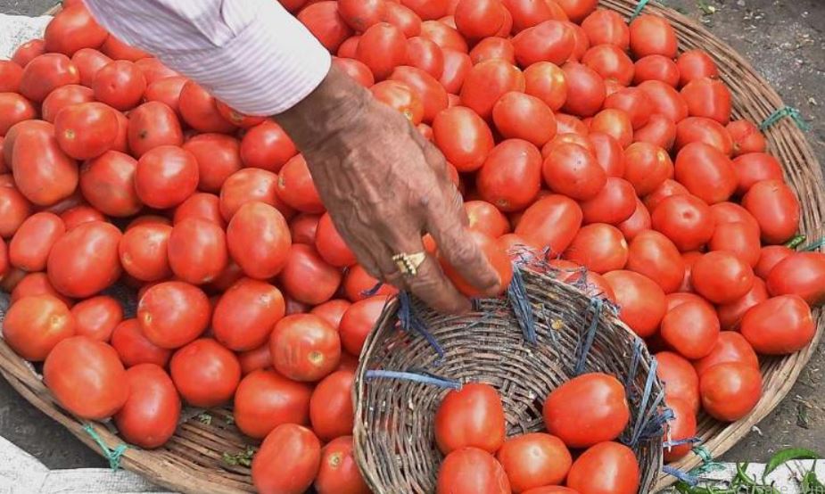 History made by tomato price in Pune (image google)