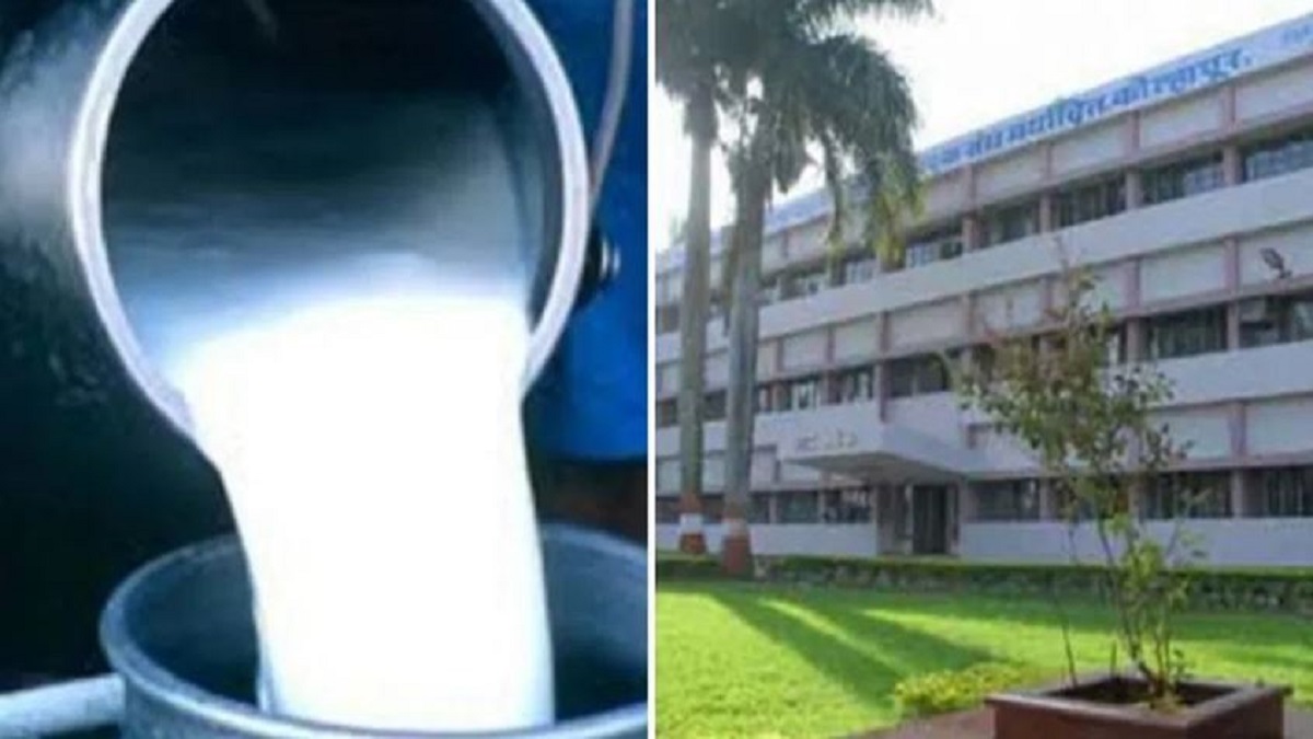 Gokul milk (image google)