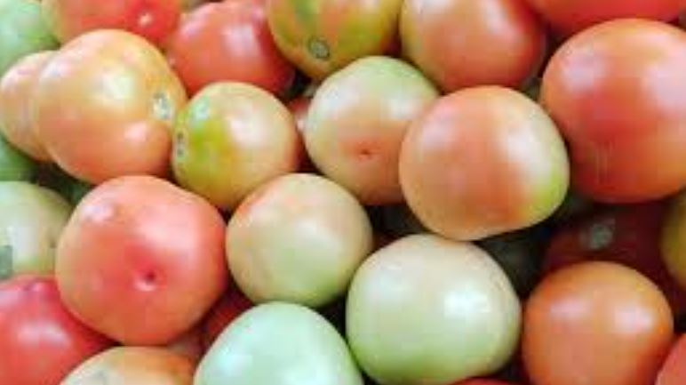 tomatoes (image google)