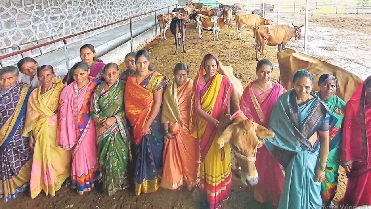 women's self-help group set up a collective cow (image google)