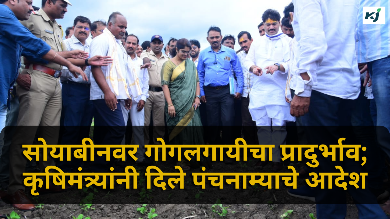 Agriculture Minister Dhananjay Munde