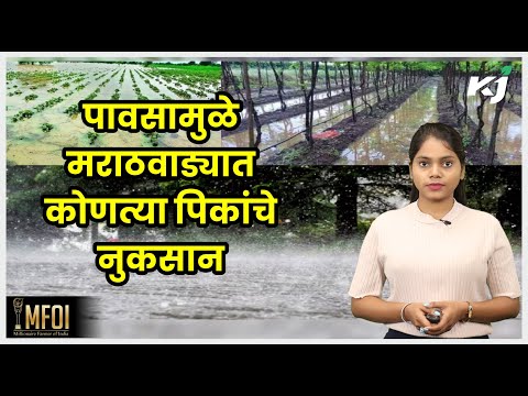 मराठवाड्यात पावसाचे तांडव, पिके पाण्याखाली | Rain | Weather | Barish