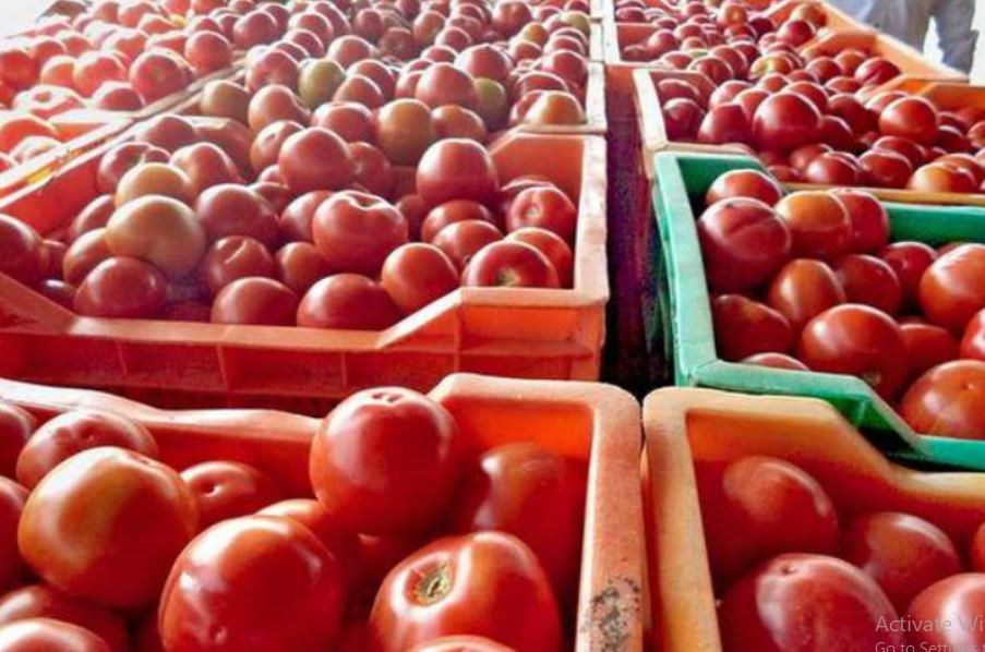 import of 10 tons of tomatoes