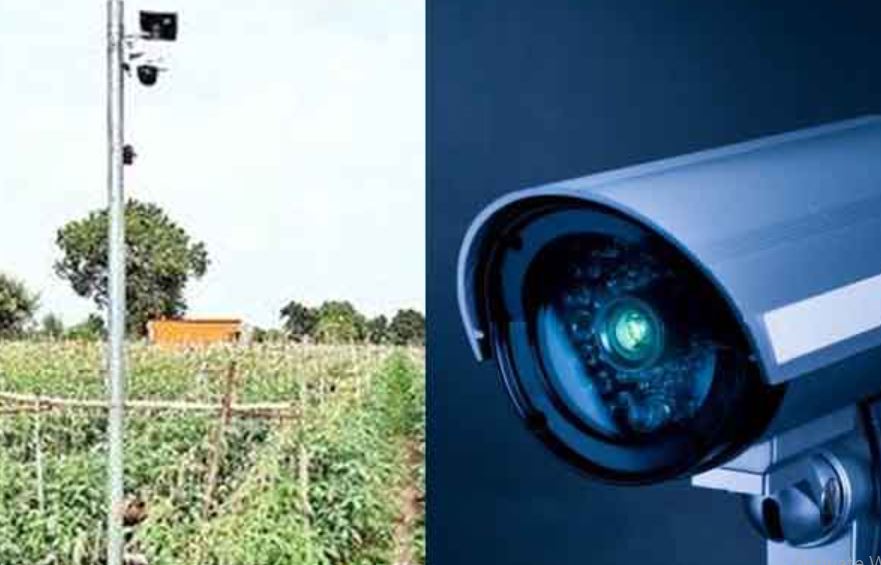 farmer installed CCTV cameras ( image google)