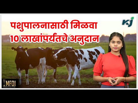 News: शेतकरी गट पशुधनासाठी ३ कोटींचे अनुदाऩ | Animal Husbandry | Farming Scheme | Agriculture