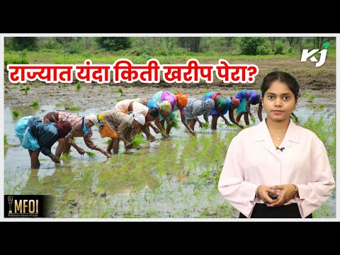 Marathi News: राज्यात ९३ टक्के खरीपाची पेरणी, कृषी आयुक्तालयाची माहिती | Weather News Kharif CropMarathi News: 93 percent Kharipachi Parni in the state, information about Agriculture Commissionerate. Weather News Kharif Crop