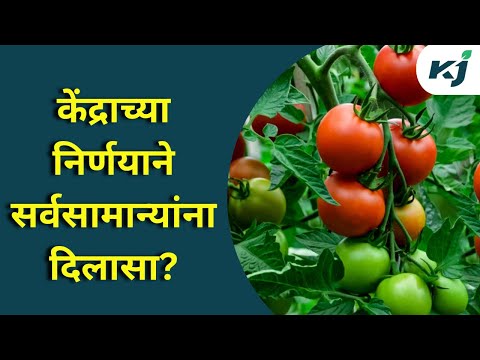 Maharashtra News: नेपाळमधून टोमॅटो आयातीचा पहिला लॉट भारतात | Tomato Imports Nepal | Tomato Farming