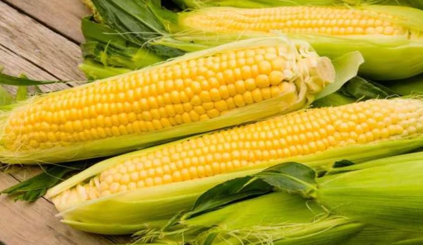 Sweet Corn (image google)