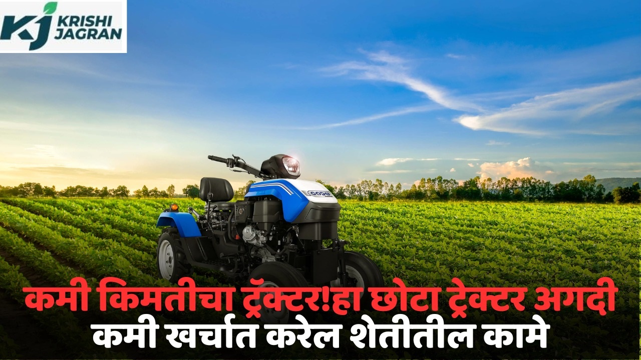swaraj mini tractor