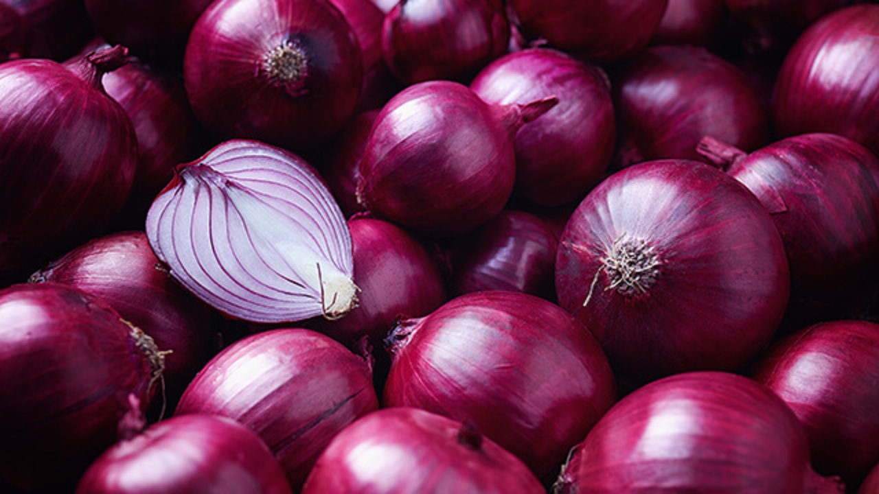 onion subsidy update