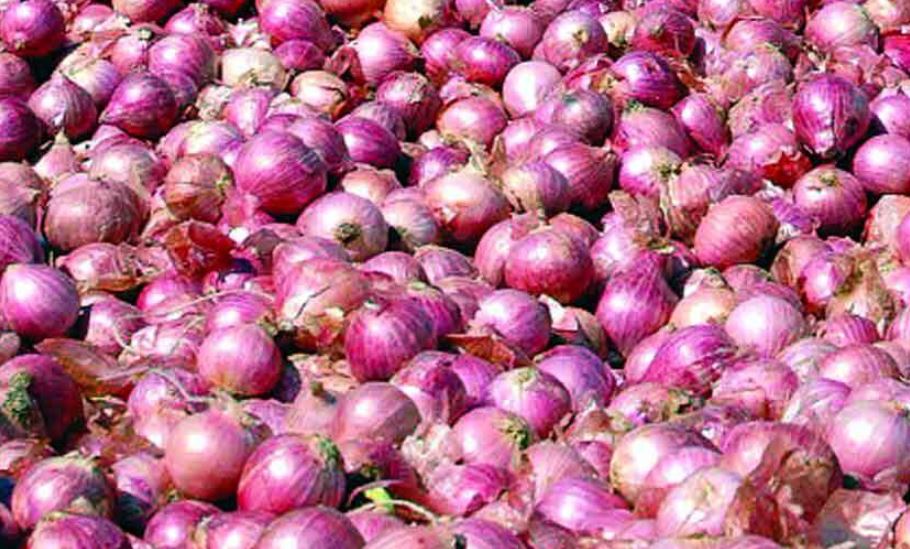 onion producing