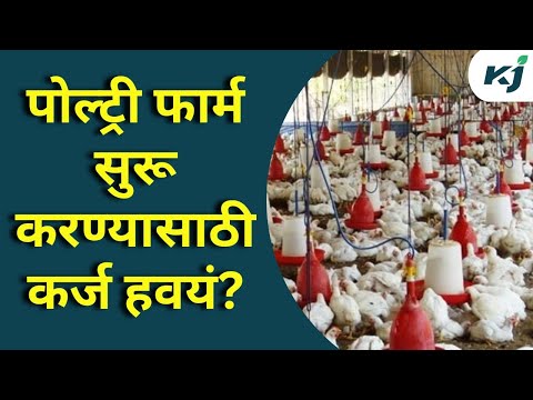 Poultry business | पोल्ट्री फार्म सुरू करण्यासाठी कर्ज हवयं? | State Government Scheme |