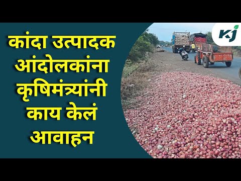 Maharashtra News: आंदोलनकर्त्यांनी आंदोलन मागे घ्यावे -Dhananjay Munde | Onion Export | Marathi News