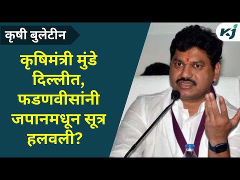 Maharashtra: "मुंडे दिल्लीत फडणवीसांनी जपानमधून सुत्र हलवली" | Latest News | Dhanjay Munde | Onion