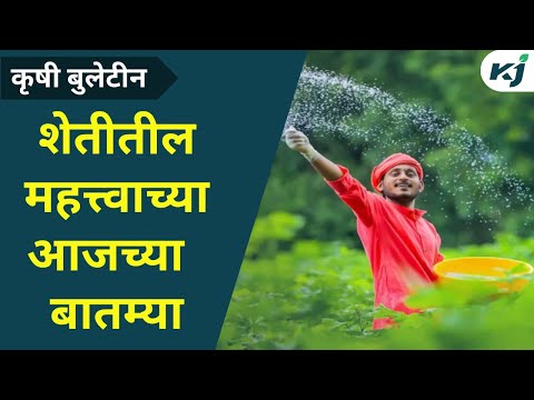 Maharashtra News: शेतीतील महत्वाच्या विशेष बातम्या | Agriculture News | Latest News | Farmer News