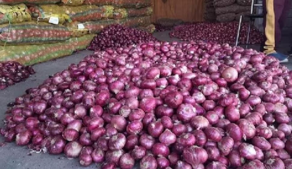 onion 40 percent export duty
